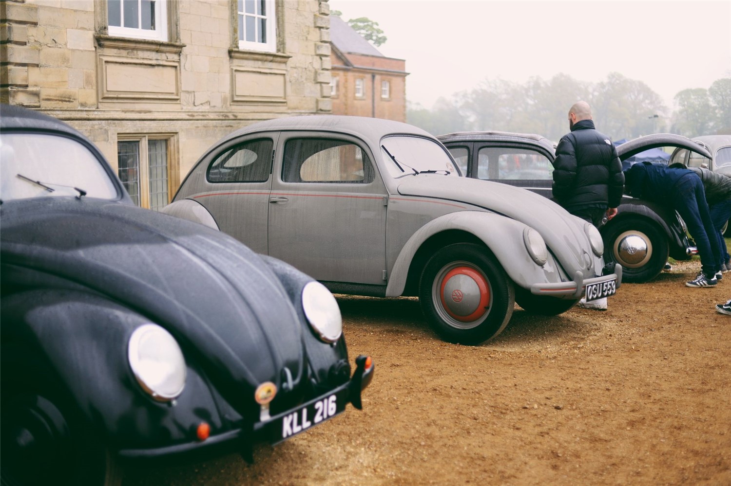 Standard Beetles at Stanford Hall 2022